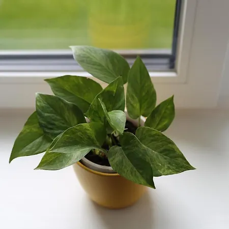 L&l Apartament